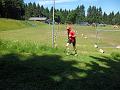 SAM_8094